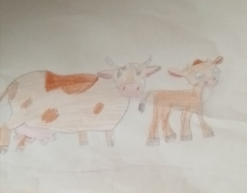 Гусарева Дарья