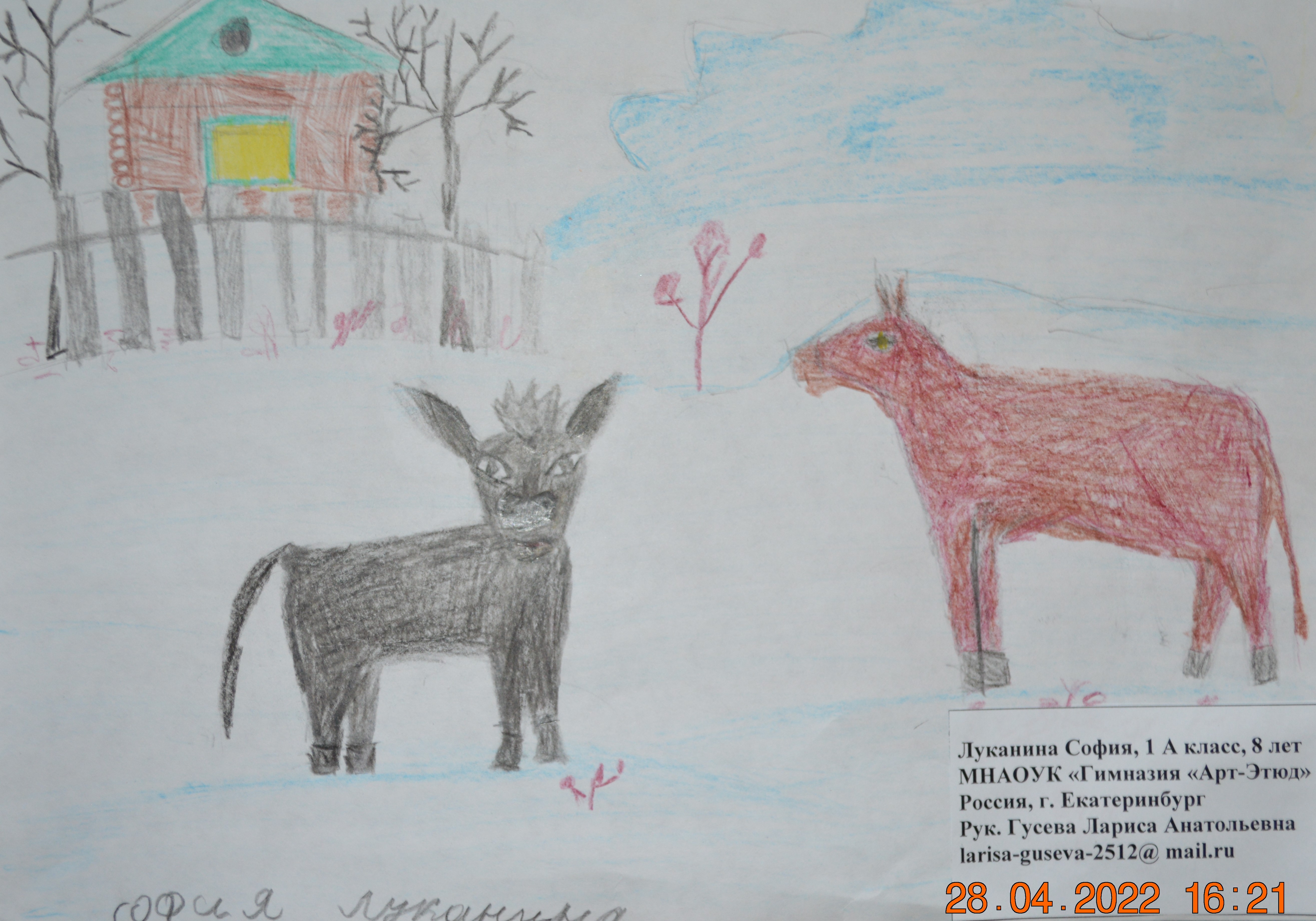 Лканина София