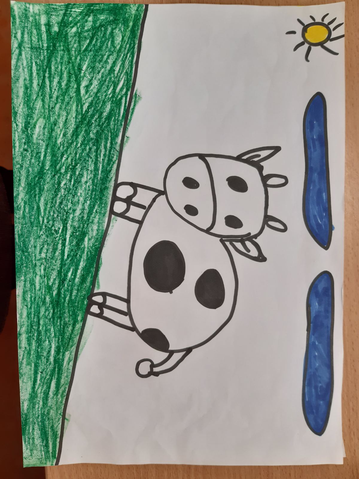 Чеботина Афизе 